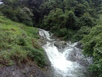 a waterfall on the side of a hill with trees at Vanillafarms in Wayanad