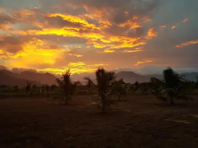 a sunset in a field with palm trees and mountains at LBS Farmstay in Alāndurai