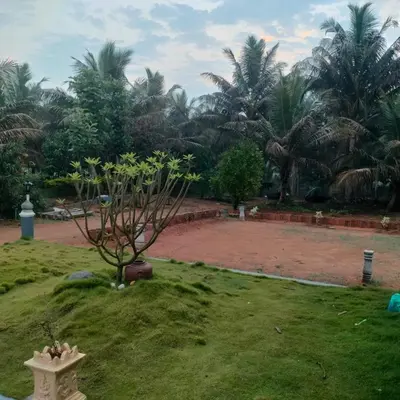 a garden with a small tree in the grass at MVR Home Stay in Seringapatam