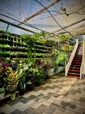 a greenhouse filled with lots of plants and stairs at Joevilla-1BHK Near Kottiyoor in Kelakam