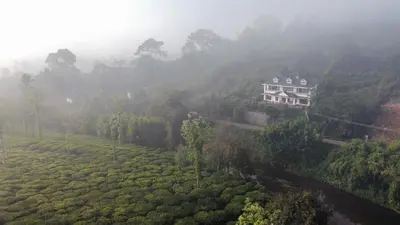 a house in the middle of a tea plantation at White Fort Holiday Home in Vythiri