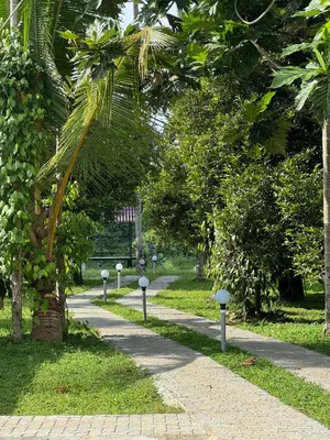 a row of parking meters on a path in a park at Kerala Heritage Private Pool Villa - Tharavad in Māla