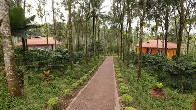 a brick path in a forest with a house in the background at Himadri Retreat Wayanad in Kaniyāmbetta