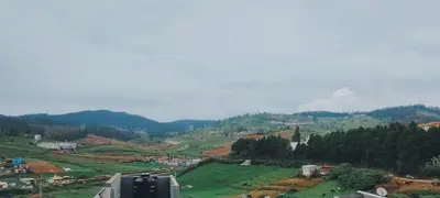 a view of a valley with green fields and trees at shambhala homestay in Ooty