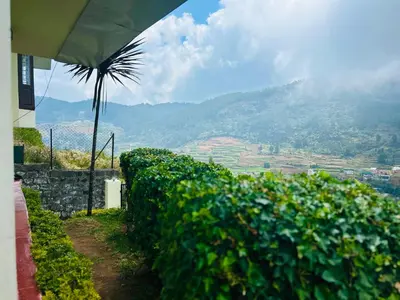 a vineyard with a palm tree and a view of a mountain at Away From Home - 1 - Home Stay Ooty, Entire 3BHK Villa in Ooty
