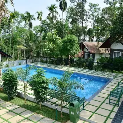 Snow White Wayanad