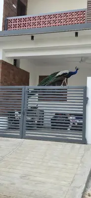 a garage door with a gate with a bird on it at Kanchana Sirur home in Coimbatore