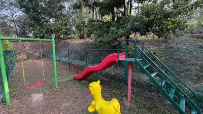 a playground with a plastic dinosaur on a slide at IRU Homes - Private Family Stay with Pool in Ambalavayal