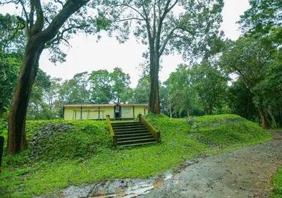 a house on top of a grassy hill with stairs at Tusker Inn Forest Lodge in Pulpally