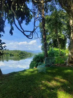 a park bench sitting in the grass near a river at Vipinam, The riverside retreat in Kotamangalam