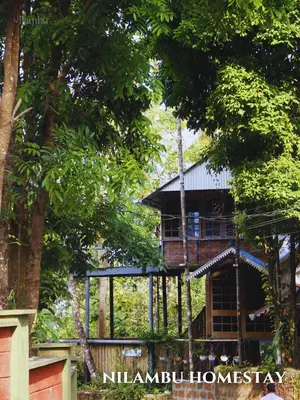a tree house in the middle of some trees at Nilambu Homestay in Nilambūr