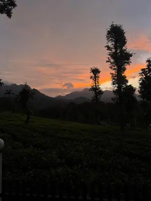 a sunset in a field with trees and mountains at Hayashi Resort in Meppādi