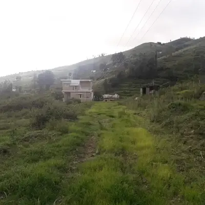 Zirku Garden Kodaikanal