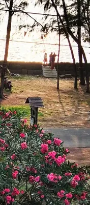 a park with pink flowers and a bench and the water at Relax inn cherai beach in Cochin
