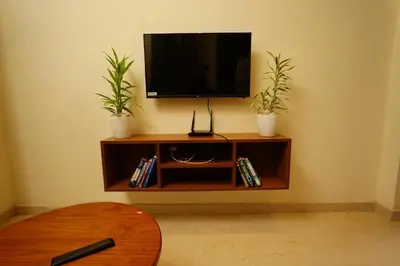 a flat screen tv on a wall with two plants at LA VILLA VYTHIRI Resort in Vythiri