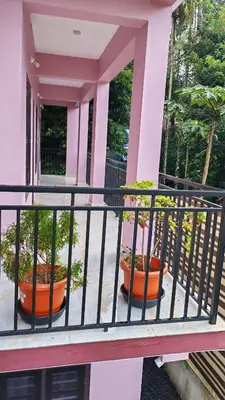 three potted plants sitting on a balcony at Voyagers Nest Wayanad in Ambalavayal