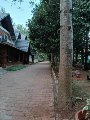 a tree next to a brick road next to a house at Atithi Devo Resort Coorg by LexStays in Kushālnagar