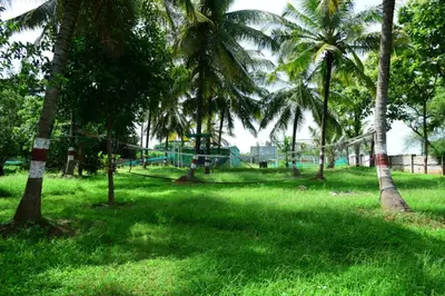 a park with palm trees and a playground at Lucky Escape Adda in Hullahalli