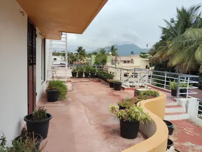 a row of potted plants on a balcony at A Cozy Homestay in Coimbatore in Coimbatore