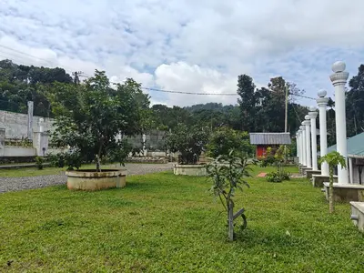 a garden with two trees in the grass at AppleLand City Athirapilly by Hotels Cart in Athirappally