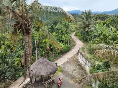 a palm tree with a hut and a road at Palm view 2 in Kanthalloor