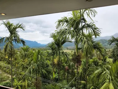 a view of a palm tree plantation from a window at Palm view 2 in Kanthalloor