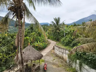 a palm tree and a man on a scooter on a dirt road at Palm view 2 in Kanthalloor