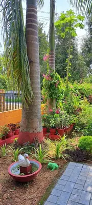 a garden with a palm tree and a red plate at Kadavath Homestay in Ernakulam