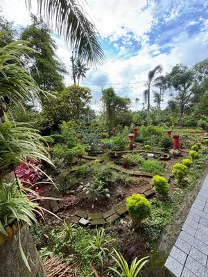 a garden with plants and trees in a field at Kadavath Homestay in Ernakulam