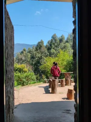 a woman sitting on a bench looking out a window at Lone Tree Creek in Vattavada