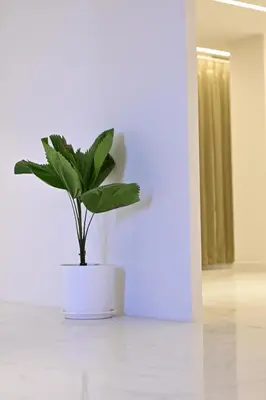 a plant in a white pot on a white floor at Hotel Shellmark in Elivāla