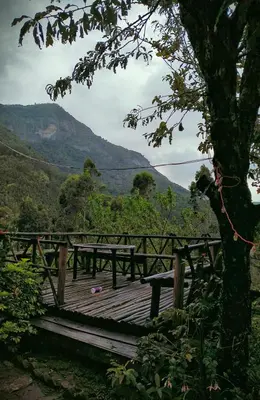 a wooden bridge with a picnic table and a tree at Madama Mudhouse Edenwood Retreats in Kanthalloor