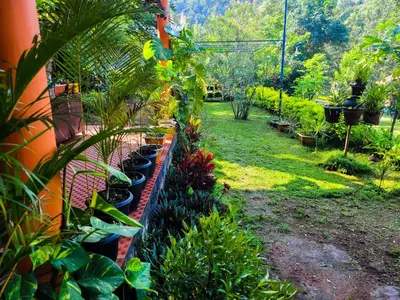a garden with a row of plants on a wall at Chembani Holidays and Resorts Kanthalloor in Kanthalloor