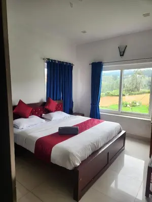 a bedroom with a large bed with blue curtains and a window at White house in Ooty