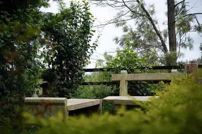 a wooden bench in a garden with a cross at Willostays Cloudhill ooty in Ooty