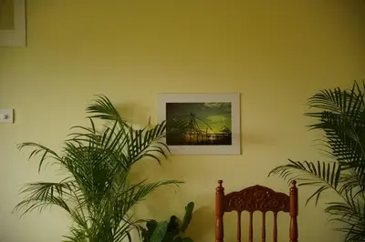 a room with plants and a picture on the wall at Willostays Cloudhill ooty in Ooty