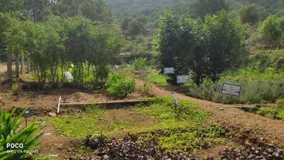 a garden with plants and trees in a field at Vara Farm in Kanakapura