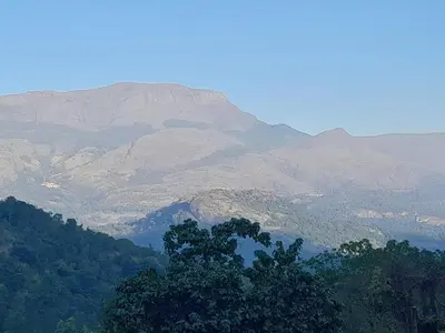 a mountain in the distance with a tree in the foreground at Deshadan Jungle in Kanthalloor