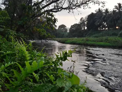 a river with trees and plants in the foreground at SriMahi Farmhouse in Agali