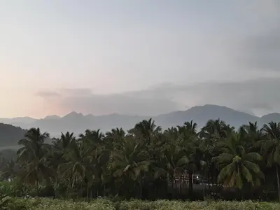 a group of palm trees with mountains in the background at SriMahi Farmhouse in Agali