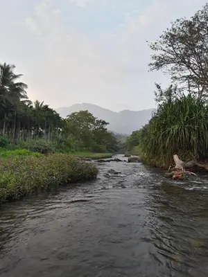 a river with trees on the side of it at SriMahi Farmhouse in Agali