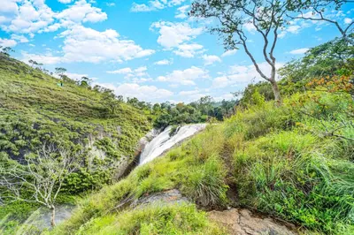 a waterfall on the side of a hill with grass at Zacs Valley Resort & Wellness Retreat Kodaikanal in Kodaikānāl
