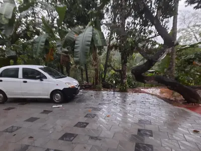 a tree crashes onto a white car in a parking lot at Pariyarathu veedu, 4 Bed Hostel in Wayanad