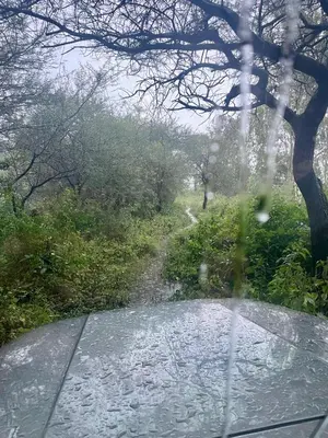 a view from a window of a field with snow at The Wild House in Kotagiri