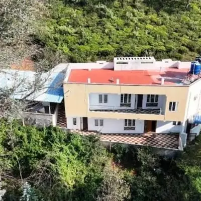 The Wild House