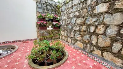 a stone wall with potted plants in a room at Mayfield Valley Homestay in Kotagiri