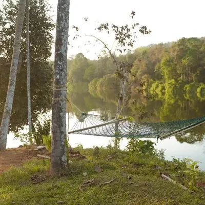 a hammock hanging between two trees next to a lake at Nature's nest in Kuttampuzha
