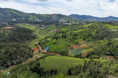 an aerial view of a green valley with trees at StayVista at Rustling Pine with Bonfire, BBQ & Lawn in Ooty