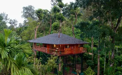 a tree house in the middle of a forest at Tranquil Resort - Blusalzz Collection, Wayanad - Kerala in Ambalavayal