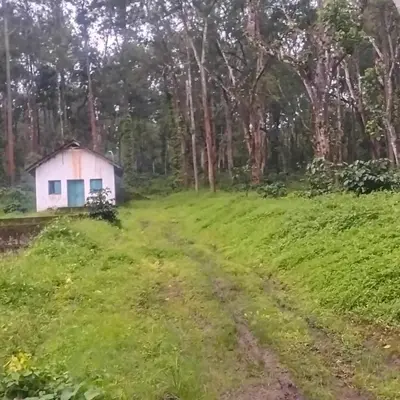 a small house in a field with a dirt road at Coorg Namana homestay in Suntikoppa